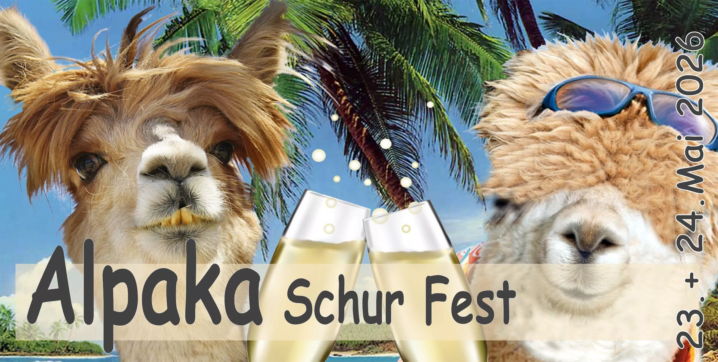 Alpaka Schur Fest