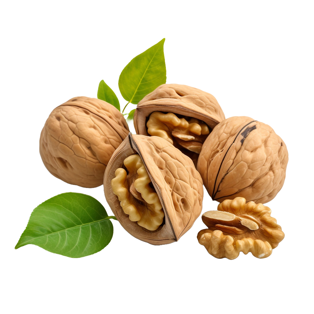 Pfälzer Walnüsse - Weingut Kuntz Bioland